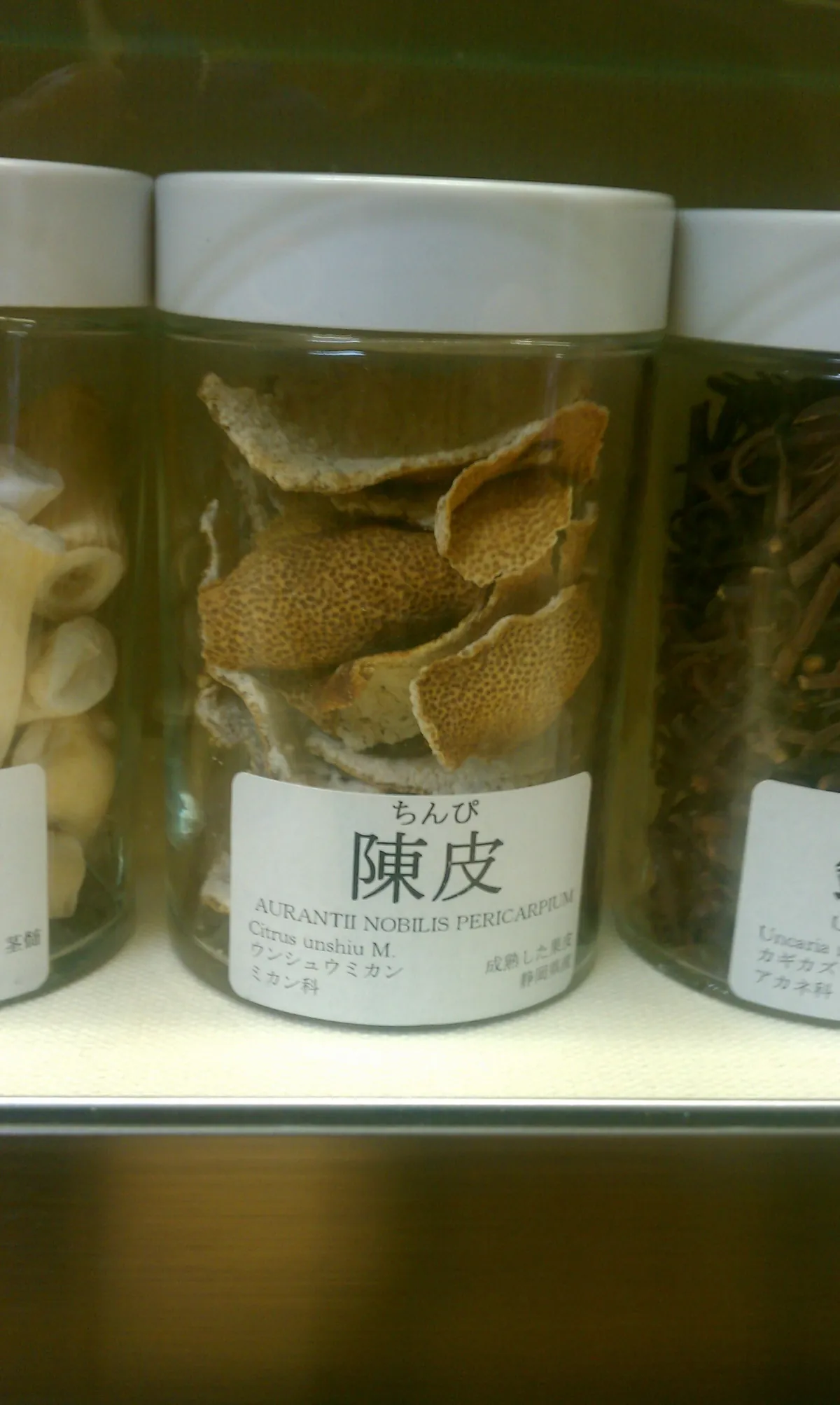 透明な標本瓶の中に、表面がでこぼこした茶色の果皮片が数枚、丸まるように重なって入っている。瓶には「ちんぴ 陳皮」「Citrus unshiu M.」と書かれた白いラベルが貼られている。