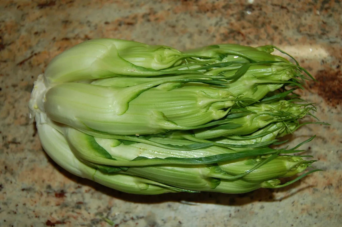 石目調の台の上に、白緑色の太い茎が数本束になった野菜が横たわっている。茎の先端からは細く巻いた緑色の若芽やひげ状の葉が放射状に広がっている。