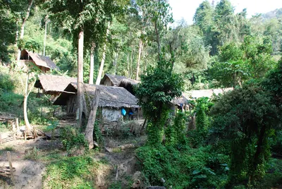 森の中に茅葺き屋根の木造家屋が点在するリス族の山地集落