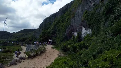 切り立った崖と海岸沿いの砂浜、遠方に風力発電の風車が並ぶ景観