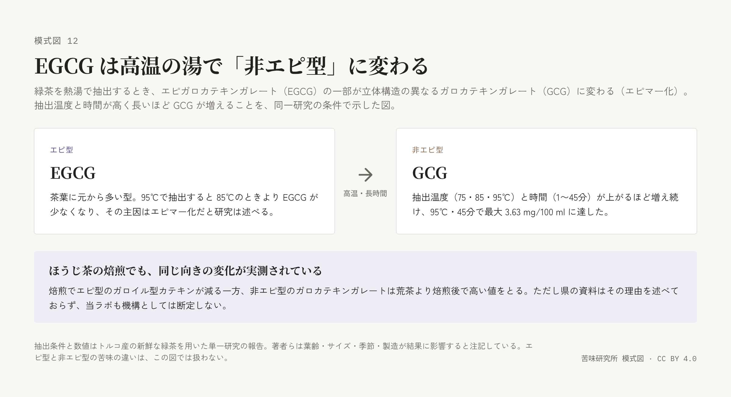 左に「エピ型 EGCG」の札、右に「非エピ型 GCG」の札、その間に「高温・長時間」と添えた右向き矢印。下に「ほうじ茶の焙煎でも同じ向きの変化」の帯。