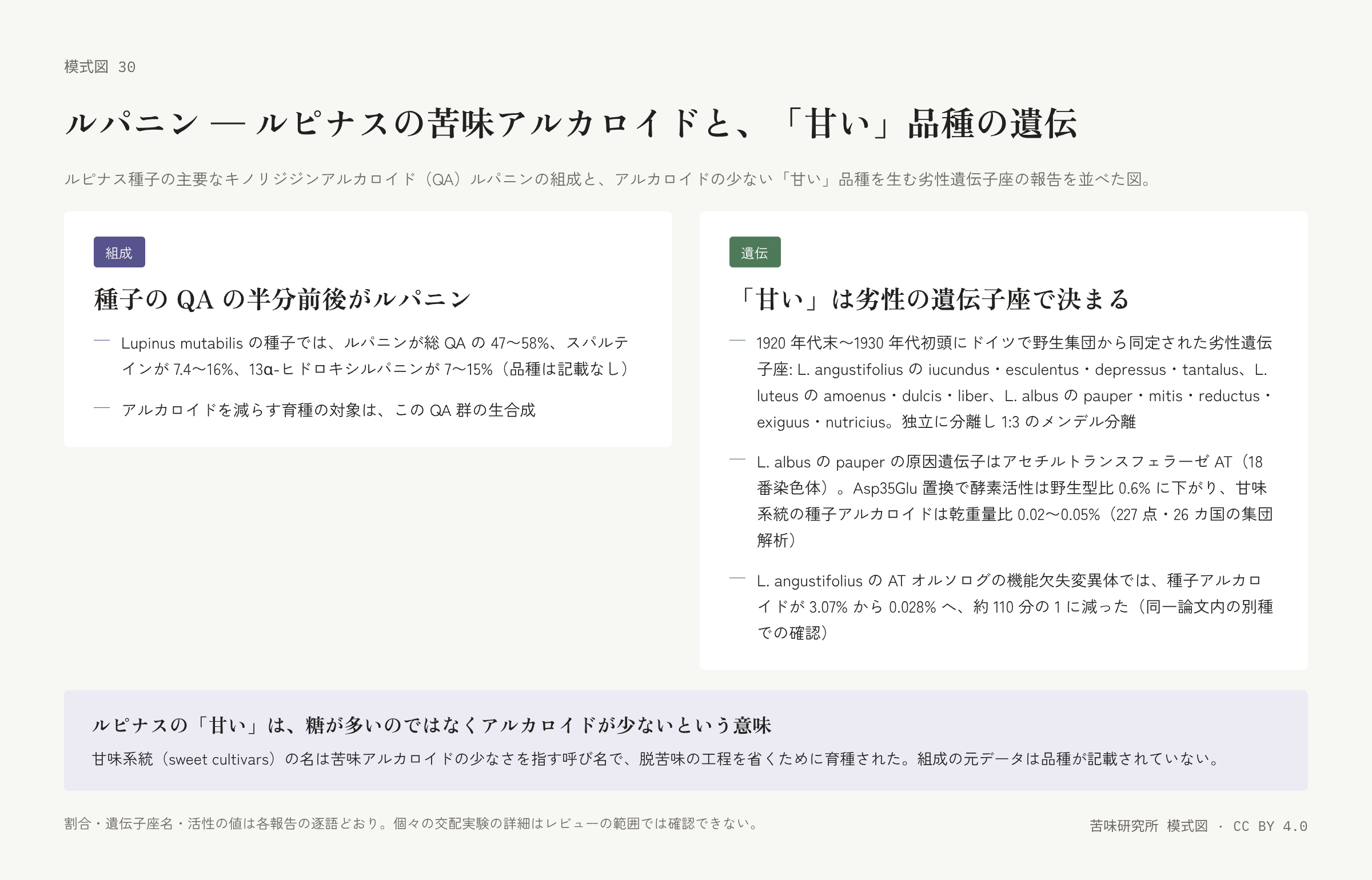 左右二枚の札。左は「組成」の札で、ルパニンほかの割合と育種の対象の二行。右は「遺伝」の札で、三種のルピナスの劣性遺伝子座の名、pauper の原因遺伝子と活性、別種での確認の三行。下に「ルピナスの甘いは糖が多いのではなくアルカロイドが少ないという意味」の帯。