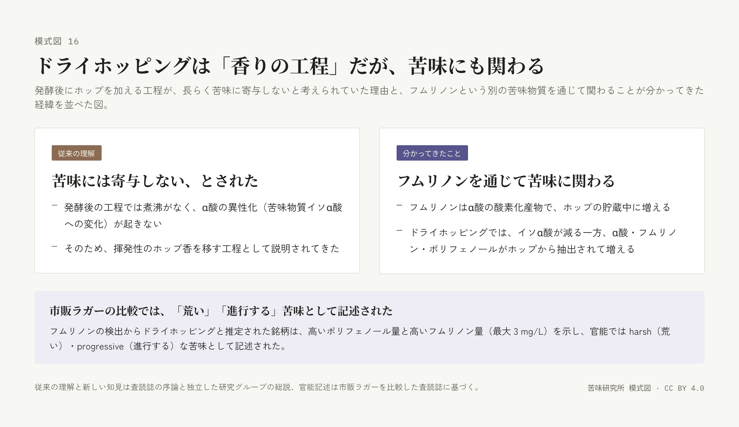 左右二枚の札。左は「従来の理解・苦味には寄与しないとされた」で二行、右は「分かってきたこと・フムリノンを通じて苦味に関わる」で二行。下に市販ラガーの官能記述の帯。