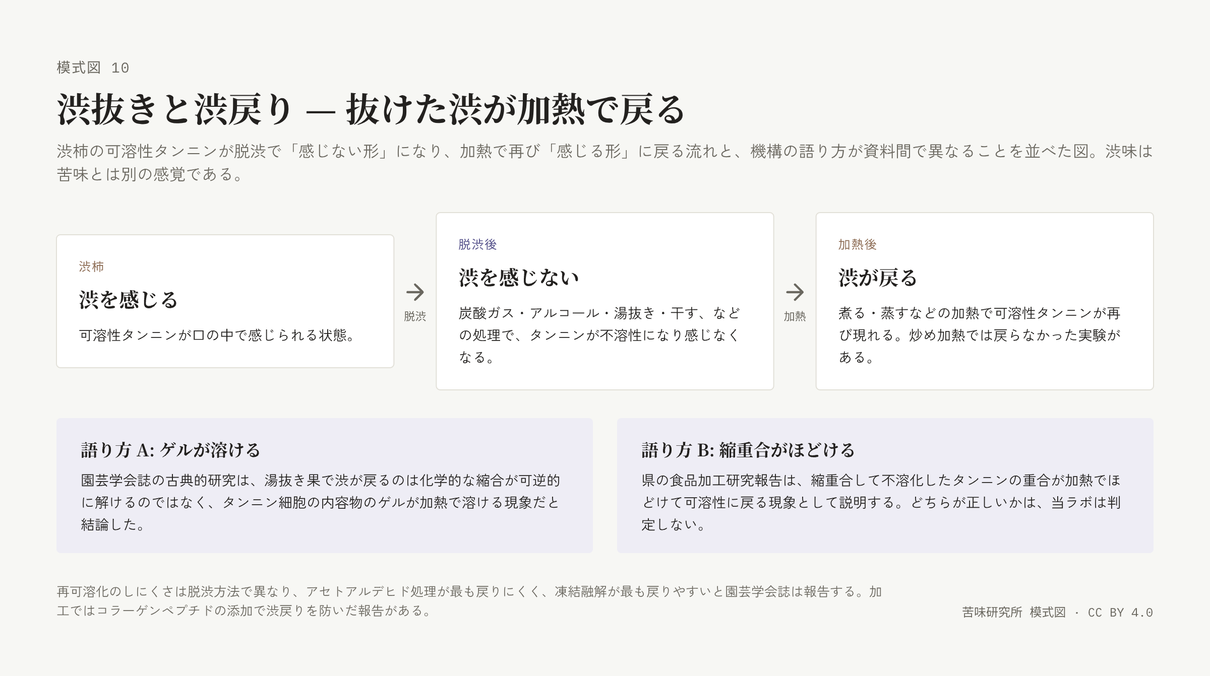 左から右へ、渋を感じる（渋柿）、渋を感じない（脱渋後）、渋が戻る（加熱後）の三枚の札を「脱渋」「加熱」の矢印でつなぐ。下に「語り方 A: ゲルが溶ける」「語り方 B: 縮重合がほどける」の二つの帯。