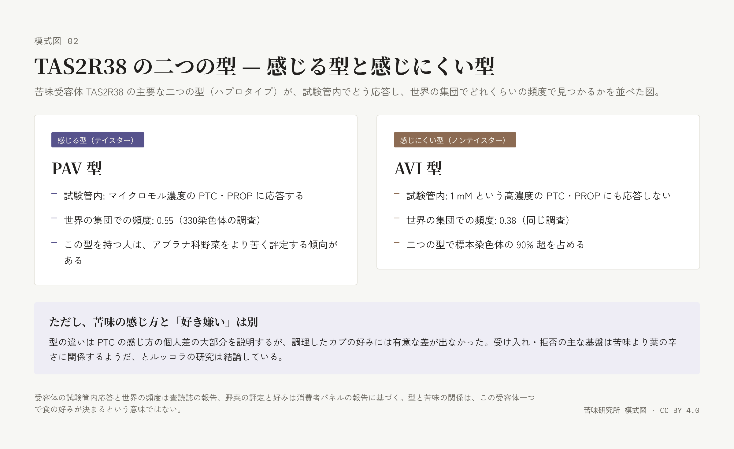 左右二枚の札。左は「感じる型」の PAV 型で応答・頻度・野菜の評定の三行、右は「感じにくい型」の AVI 型で無応答・頻度・二型の合計の三行。下に「感じ方と好き嫌いは別」の帯。
