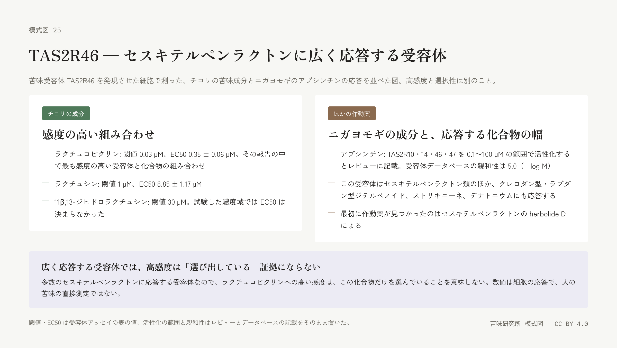 左右二枚の札。左は「チコリの成分」の札で、三つの化合物の閾値と EC50 の三行。右は「ほかの作動薬」の札で、アブシンチンの活性化範囲と親和性、応答する化合物の種類、最初の作動薬の三行。下に「広く応答する受容体では高感度は選び出している証拠にならない」の帯。